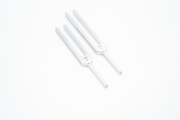 Stimmgabel-Set Whole Body Tuners C&amp;G