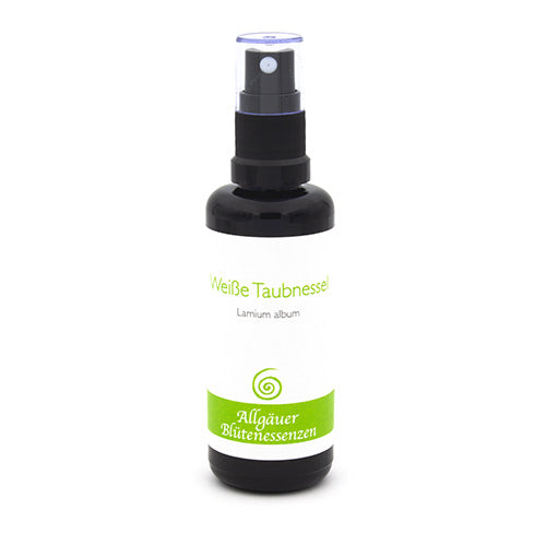Essence florale d’Allgäu – ortie blanche