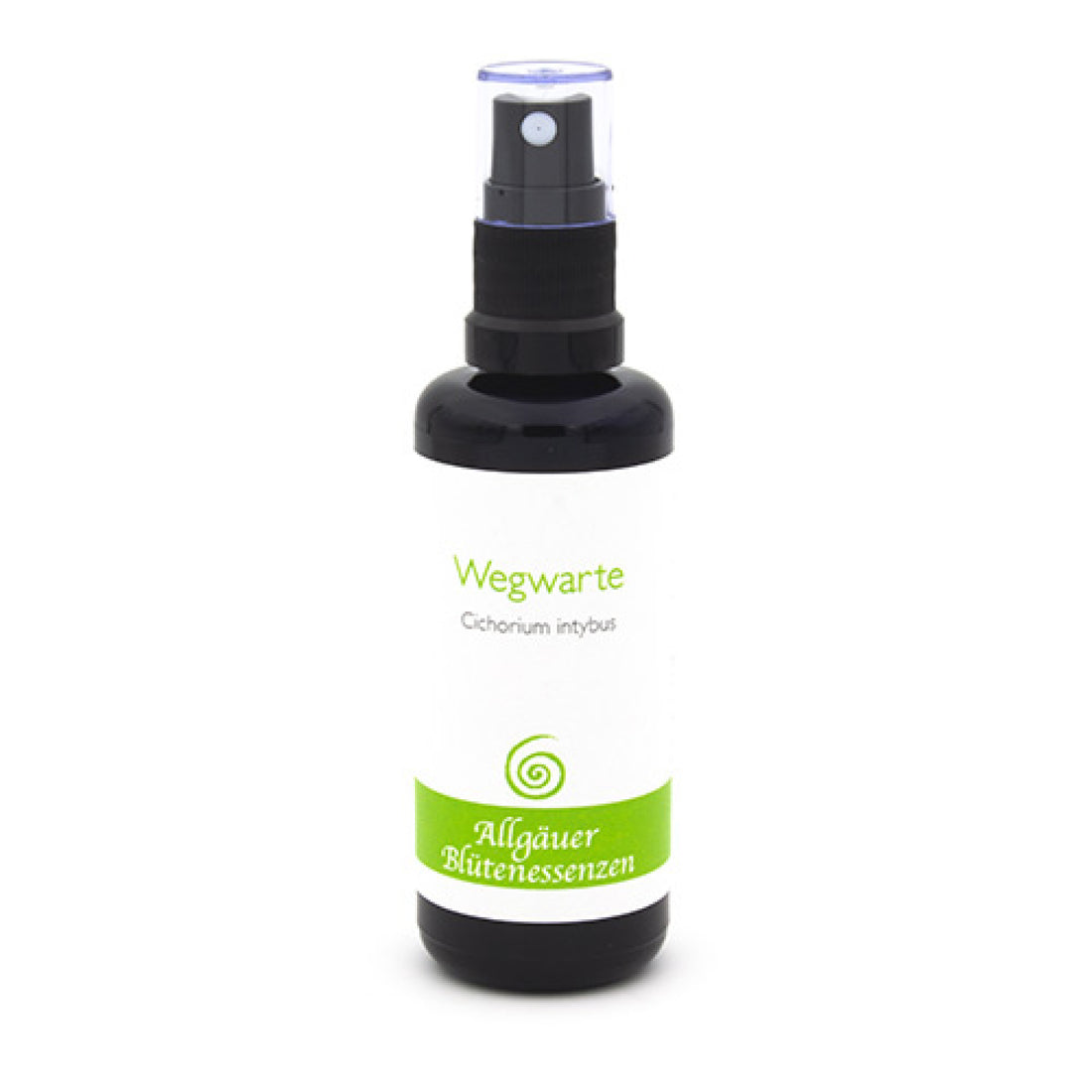 Essence florale d’Allgäu – chicorée