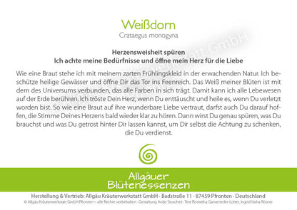 Essence florale d’Allgäu – aubépine