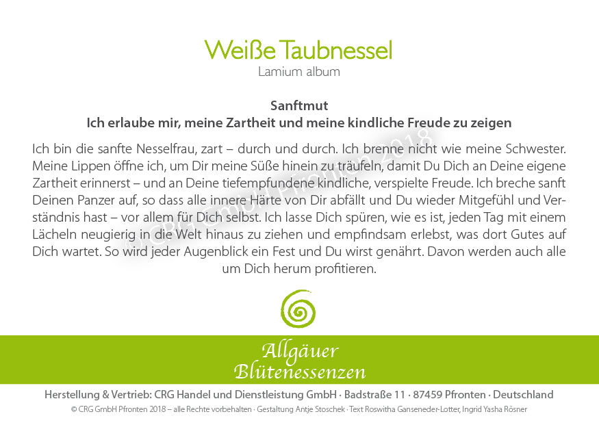 Essence florale d’Allgäu – ortie blanche