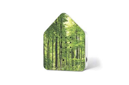 Zwitscherbox Wald