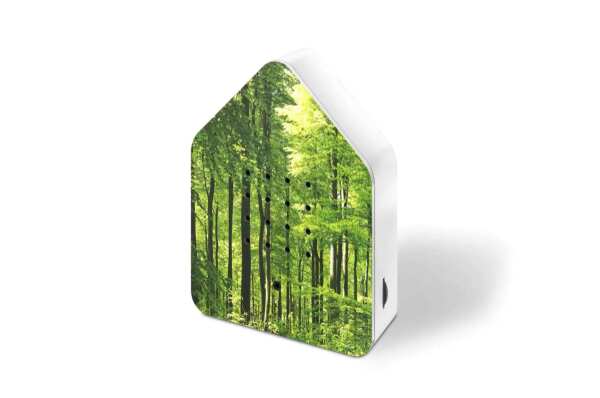 Zwitscherbox Wald